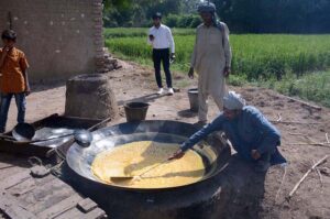 Farmers engaged in making traditional sweet Gur (jaggery) at the Rabi Gur Mela hosted by the University of Agriculture, Faisalabad (UAF).