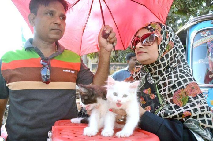 A female standing under the shade of an umbrella to sell Persian Cat in Saddar area in Provincial Capital