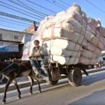 A Donkey cart holder on the way with over loaded weight may cause any mishap at Patha Mandi road