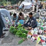 Vendors selling a variety of vegetable and flower seeds at Abpara in the Federal Capital, inviting gardeners to cultivate nature