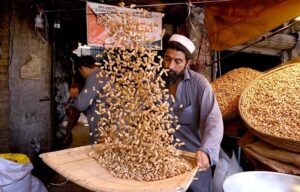A labourer is cleaning peanuts in a traditional way at Firdous Market.