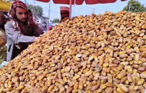 A vendor arranging and displaying dried dates to attract the customers at Bakrani Road.