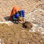 A woman making dung cakes in the sunlight for use as fuel near the railway station,in the outskirts area of the city
