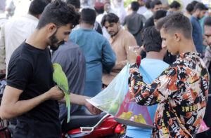 Pet lovers looking for birds at the bird market.
