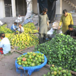 Traders are displaying seasonal fruit Oranges to attract customers at the fruit market