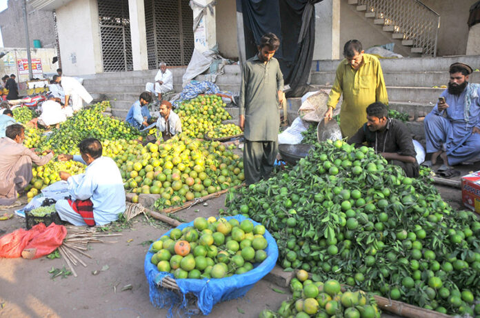 Traders are displaying seasonal fruit Oranges to attract customers at the fruit market