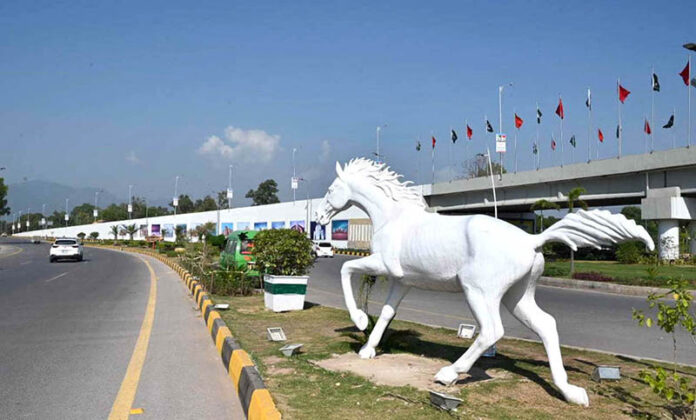 A horse model is displayed on the green belt to enhance the beauty of the federal capital ahead of the 23rd Shanghai Cooperation Organization (SCO) Summit