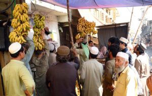 Vendor selling and displaying bananas to attract the customer at fruit market.