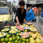 Vendor displaying and selling cutting fresh sweet lime and grapefruit to attract buyers at Namak Mandi road
