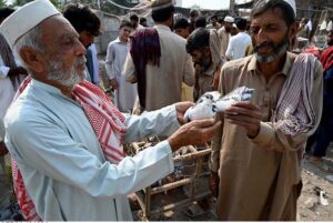 Customers selecting and purchasing pigeons from Jumma bazar Ring road.