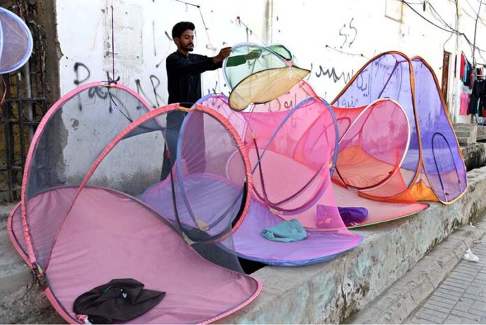 A vendor displaying nets to protect from mosquitoes bite to attract the customers at Jinnah Bagh Road