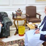 Interior Minister Syed Mohsin Raza Naqvi calls on Prime Minister Muhammad Shehbaz Sharif