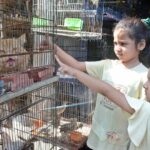Girls show keen interest in a Persian cat at the bustling Saddar Bird Market
