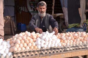 A vendor displaying eggs to attract potential customers at Meezan Chowk as the demand rises with the dropping temperatures in city