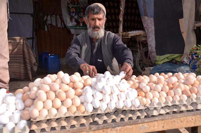A vendor displaying eggs to attract potential customers at Meezan Chowk as the demand rises with the dropping temperatures in city