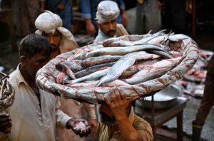 People and shopkeepers are buying different kind of fish from wholesalers at the wholesale fish market in the Provincial Capital.