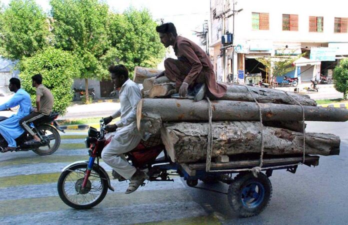 A motorcycle cart loaded with tree trunks passes through the streets of Bahawalpur