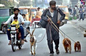 A juggler on the way to earn his livelihood in the city.