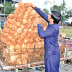 A vendor busy in arranging and displaying coconut on handcart to attract the customers on the city street