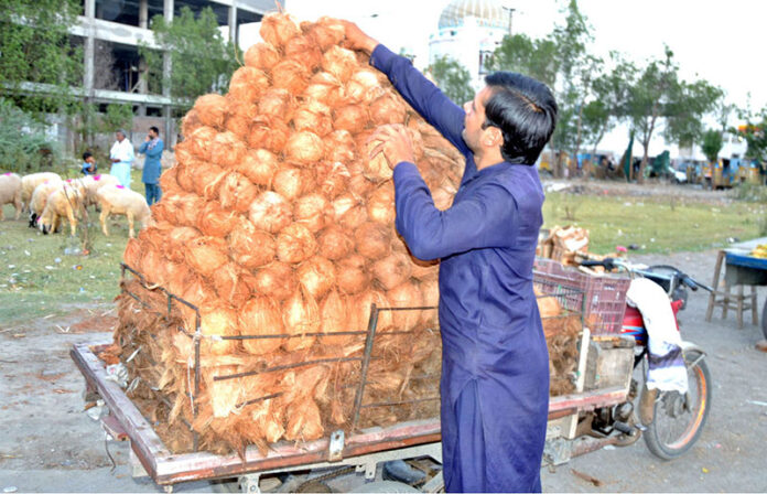 A vendor busy in arranging and displaying coconut on handcart to attract the customers on the city street