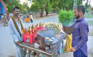 A vendor busy in roasting corn for customers in a local park.