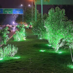 Colorful lights illuminate the plants along the green belt, adding to the elegance of the Federal Capital as it prepares for the 23rd Shanghai Cooperation Organization (SCO) Summit