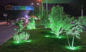Colorful lights illuminate the plants along the green belt, adding to the elegance of the Federal Capital as it prepares for the 23rd Shanghai Cooperation Organization (SCO) Summit