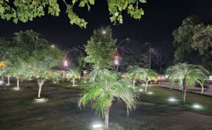 Colorful lights illuminate the plants along the green belt, adding to the elegance of the Federal Capital as it prepares for the 23rd Shanghai Cooperation Organization (SCO) Summit