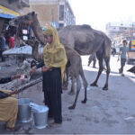 Women selling camel milk at roadside, to earn for livelihood