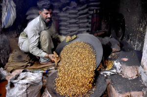 A worker roasting grams at his workplace in the city.