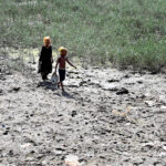 Village children on their way to collect the dung used for burning purpose