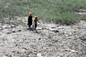 Village children on their way to collect the dung used for burning purpose
