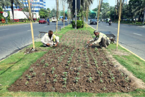 Parks and Horticulture Authority (PHA) gardeners are working on the green belt.