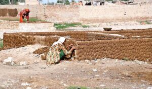 Women collect dried dung-cakes, a vital energy source for their households in the outskirts area of the city.