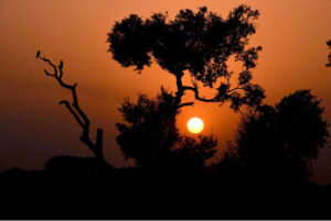 A mesmerizing view of sunset over the provincial city