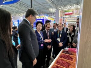 Pakistani Pavilion at 31st Yangling Agricultural High-Tech Fair attracts visitors