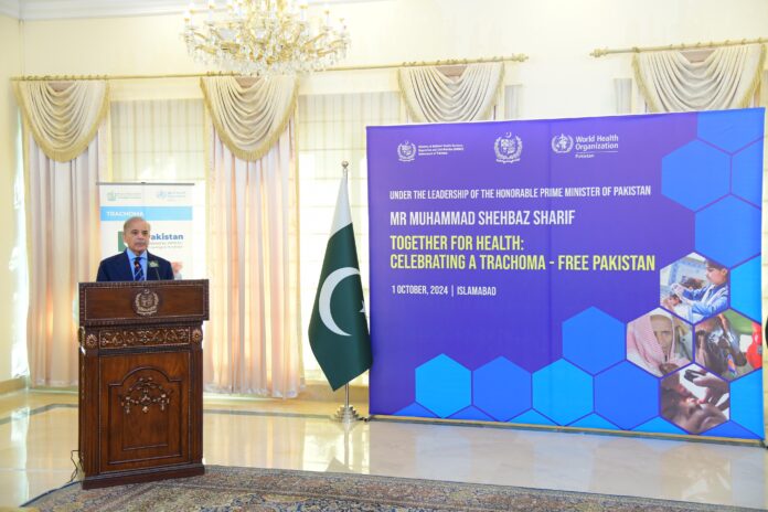 WhatsApp Image 2024-10-01 at 21.06.27