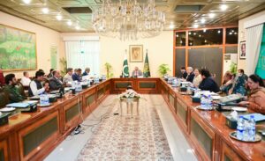 DPM chairs medical education committee meeting