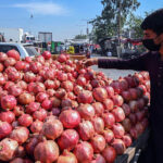 A vendor displaying pomegranate to attract customers at Islamabad Fruit and Vegetables market