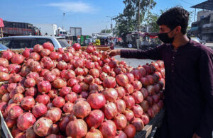 A vendor displaying pomegranate to attract customers at Islamabad Fruit and Vegetables market