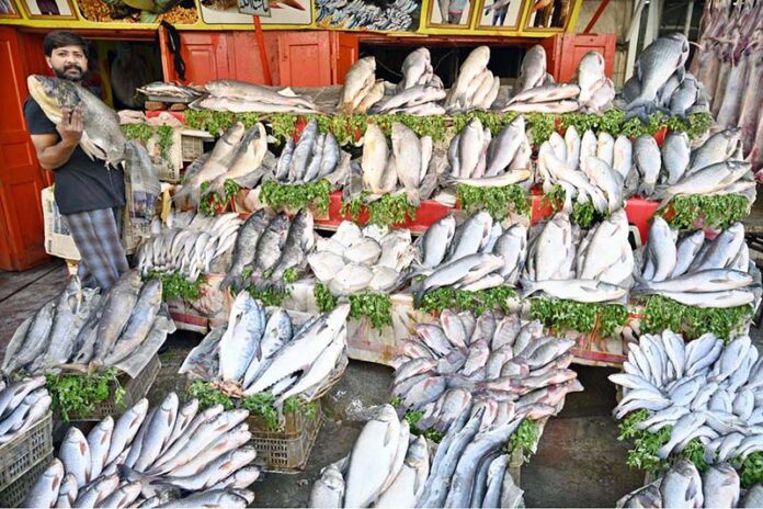 A vendor displaying fish to attract customers at his setup in a local market