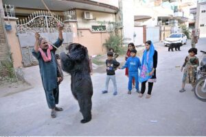 A juggler demonstrating a 'Bear Spectacle' to amuse children at Bismillah Homes.