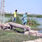 Local residents on the way crossing water pond through temporary bridge of date tree at Ghora Ground area