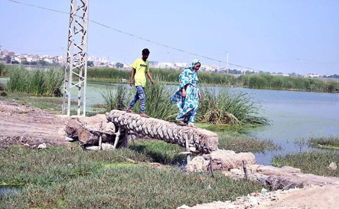 Local residents on the way crossing water pond through temporary bridge of date tree at Ghora Ground area