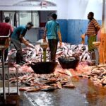 Shopkeepers purchasing fresh fish from wholesale distributors at the fish market, ensuring a steady supply of seafood in winter season for local customers