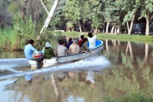 Children enjoy horse riding in National Park.