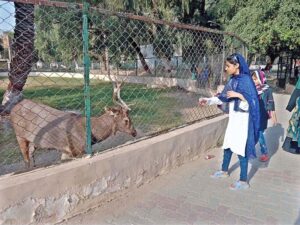 Children are watching animals while visiting Bahawalpur Zoo.