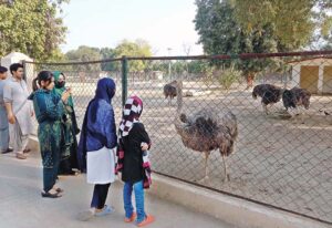 Children are watching animals while visiting Bahawalpur Zoo.