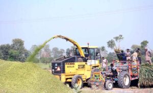 Farmers cutting green fodder for animals with the help of machine in his farm.