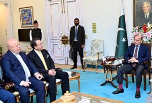 A delegation of VEON Group calls on Prime Minister Muhammad Shehbaz Sharif.